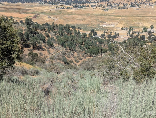 27581 Skyline, Tehachapi, CA 93561 - photo 7