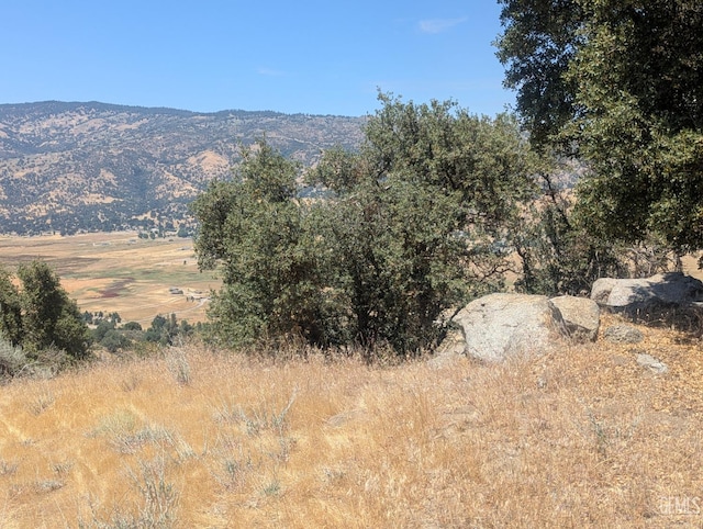27581 Skyline, Tehachapi, CA 93561 - photo 10