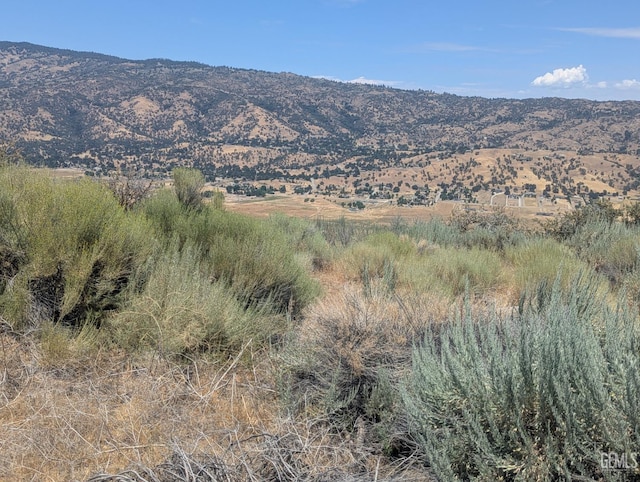 27581 Skyline, Tehachapi, CA 93561 - photo 19