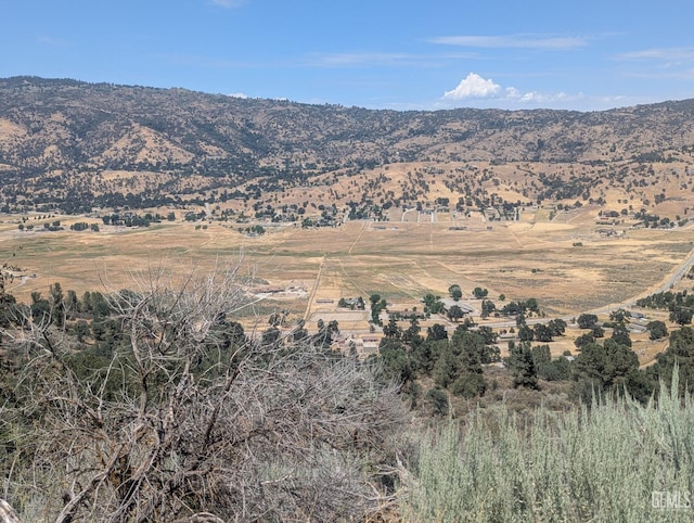 27581 Skyline, Tehachapi, CA 93561 - photo 3