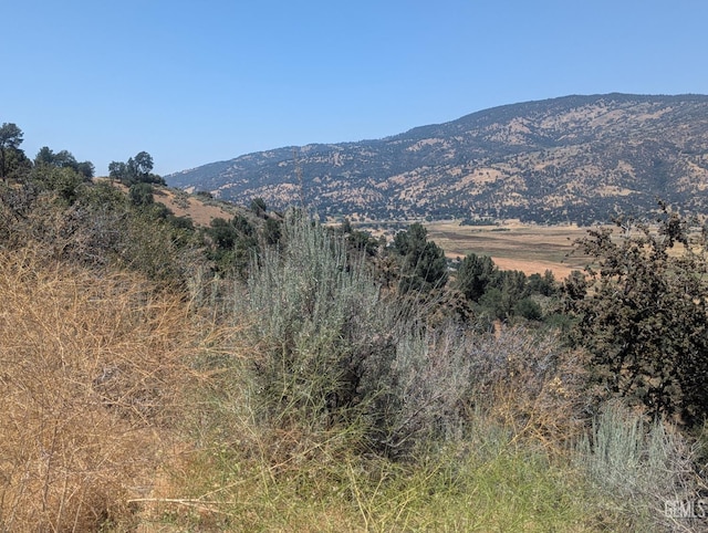 27581 Skyline, Tehachapi, CA 93561 - photo 1
