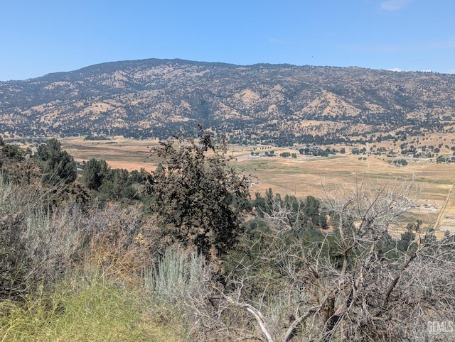 27581 Skyline, Tehachapi, CA 93561 - photo 2