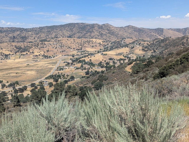 27581 Skyline, Tehachapi, CA 93561 - photo 6
