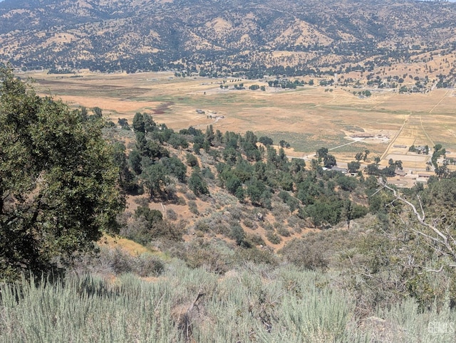 27581 Skyline, Tehachapi, CA 93561 - photo 9