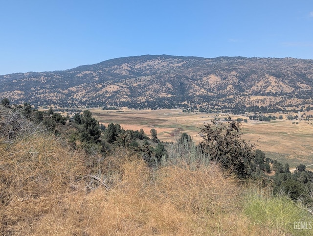 27581 Skyline, Tehachapi, CA 93561 - photo 4