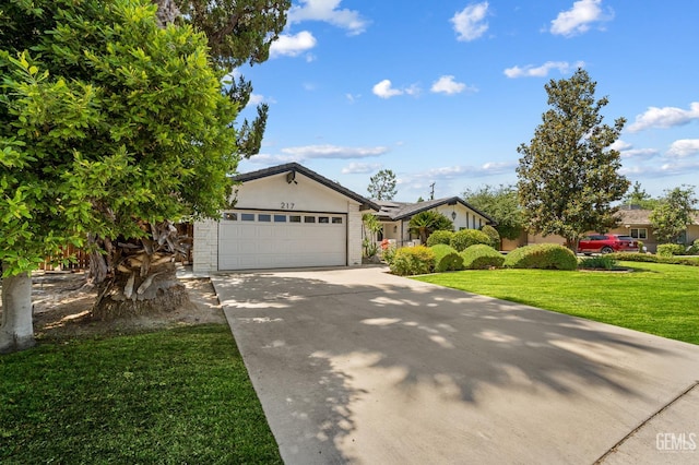 217 El Rio Dr, Bakersfield, CA 93309 - photo 6