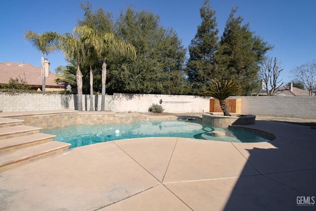 view of swimming pool with a patio