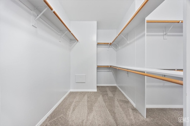 spacious closet with carpet flooring