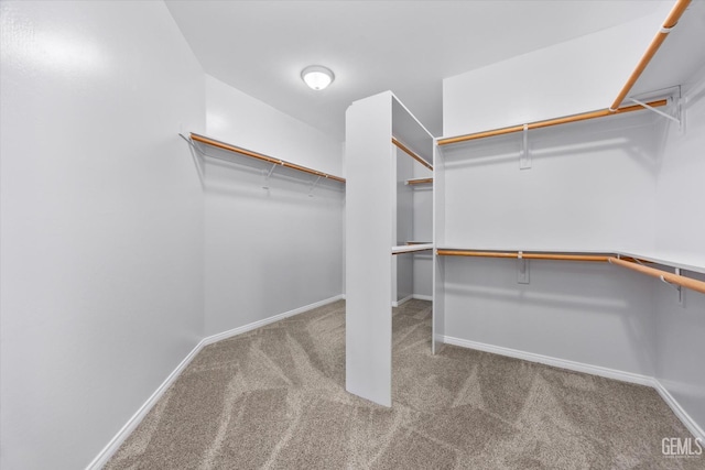 spacious closet featuring carpet