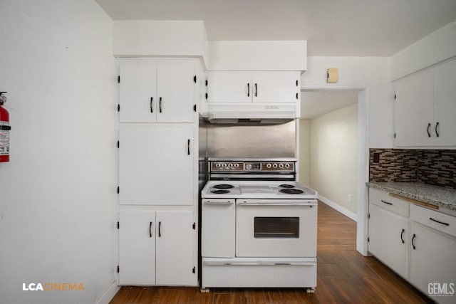 2620 Connie Ave, Bakersfield, CA 93304 - kitchen with white range with electric cooktop, under cabinet range hood, dark wood finished floors, and decorative backsplash