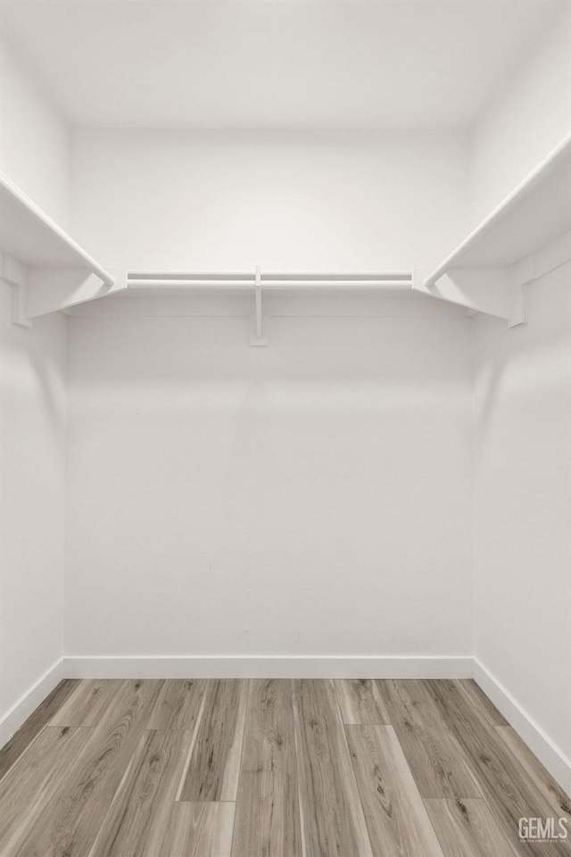 spacious closet featuring light wood finished floors