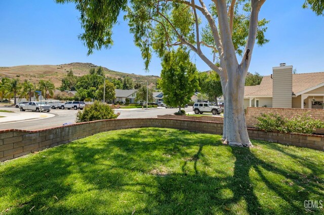 view of yard with a mountain view