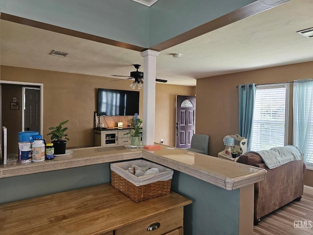 living room with ceiling fan and light wood-type flooring