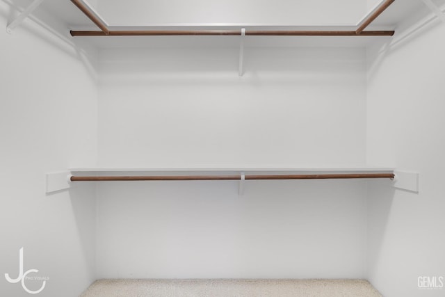 walk in closet with carpet