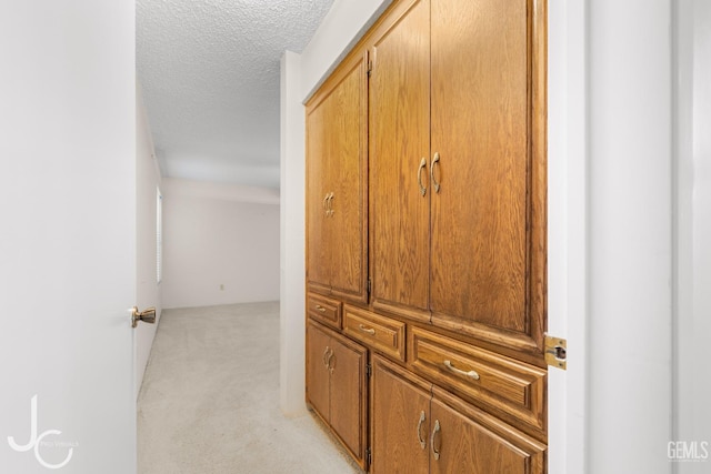 hall with a textured ceiling and light carpet