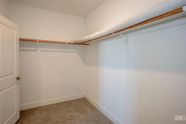 walk in closet with carpet floors