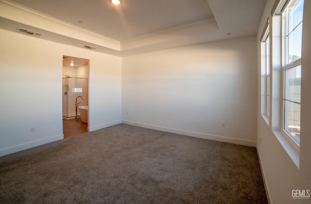 carpeted spare room featuring a raised ceiling and crown molding