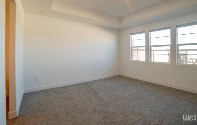 empty room featuring ornamental molding, a raised ceiling, and dark carpet