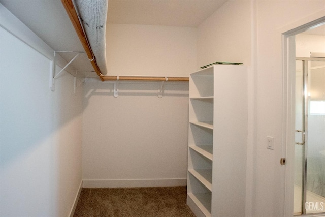 spacious closet with dark colored carpet