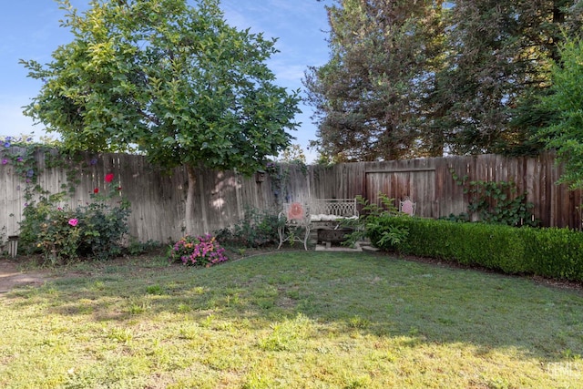 631 Faversham Way, Bakersfield, CA 93311 - view of yard