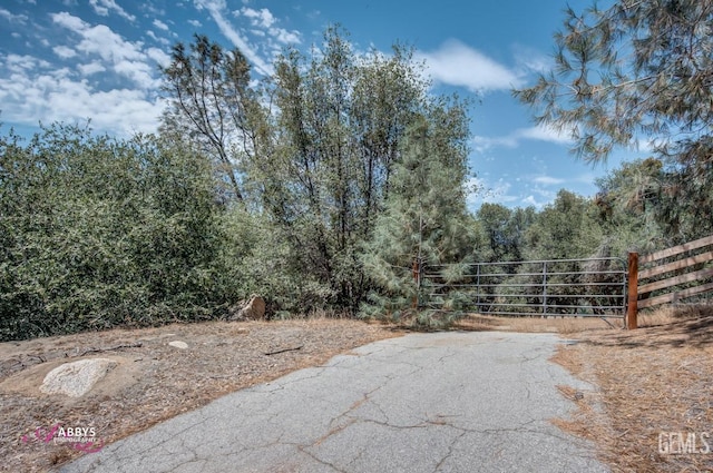 28060 Carlyle Springs Rd, Keene CA, 93531 land for sale