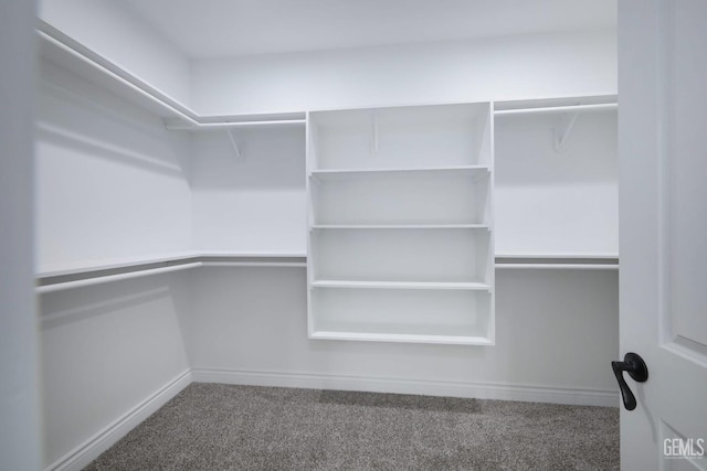 walk in closet featuring carpet