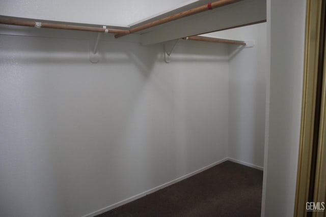 5808 Greenhorn Mountain Ct, Bakersfield, CA 93313 - spacious closet featuring dark colored carpet