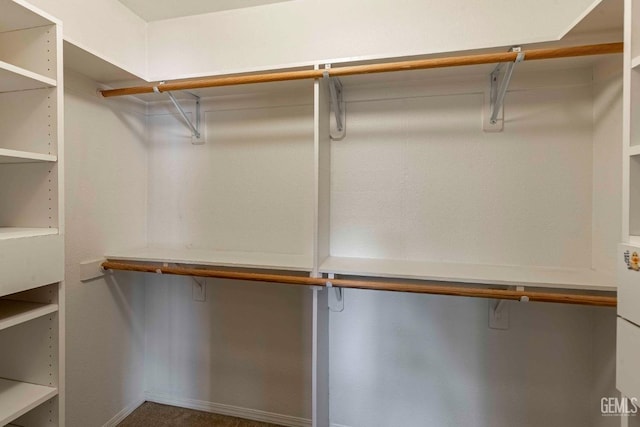 view of walk in closet