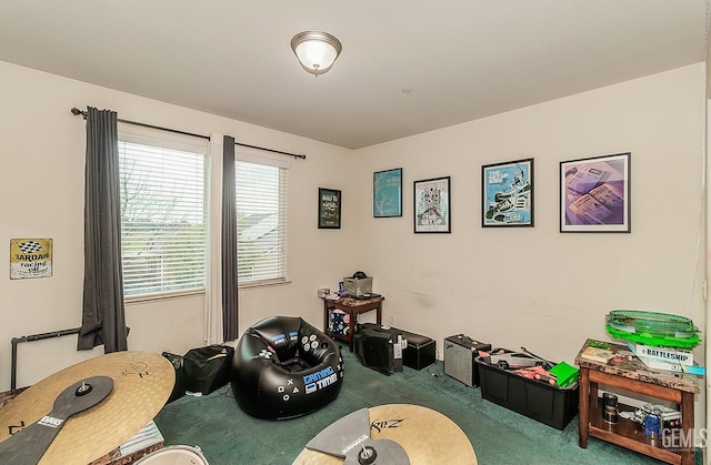 game room with carpet floors