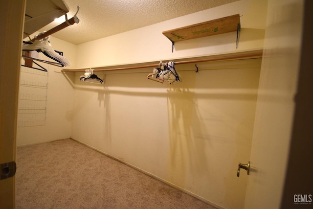 spacious closet with light carpet