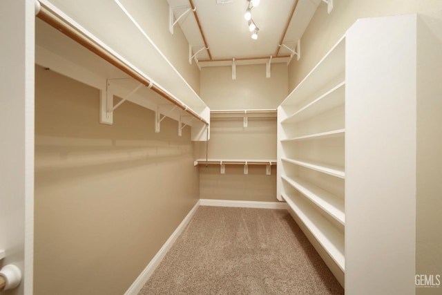 spacious closet with carpet