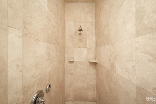 room details with a tile shower