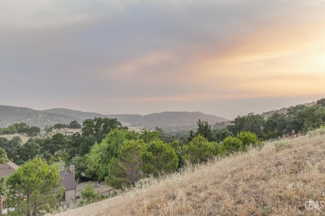 24501 Pueblo Ct, Tehachapi, CA 93561 - view of mountain background