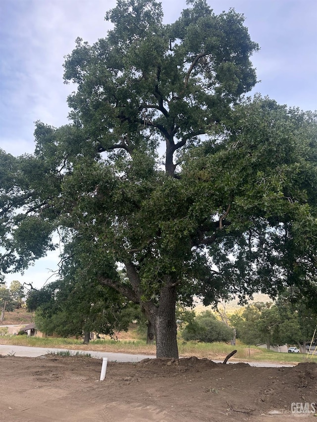 18671 Buckeye Pl, Tehachapi, CA 93561 - exterior space
