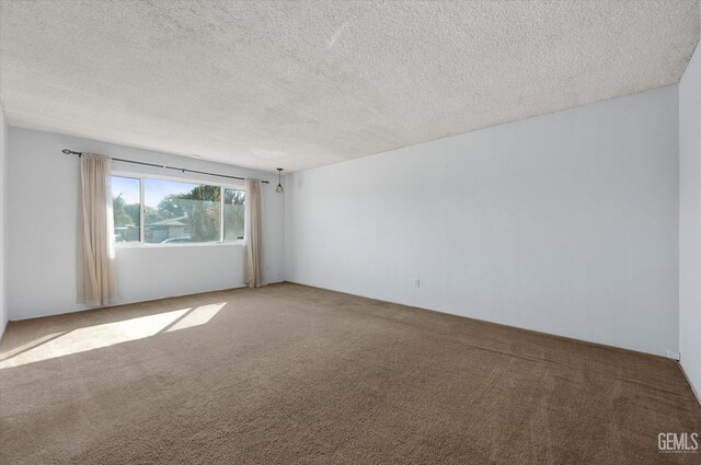 empty room featuring carpet and a textured ceiling