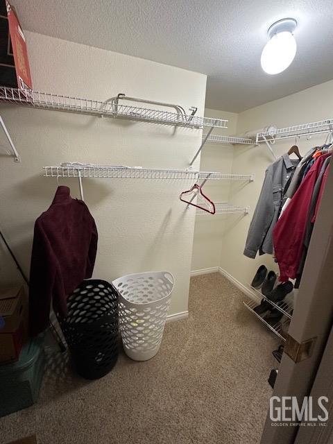 spacious closet featuring carpet flooring