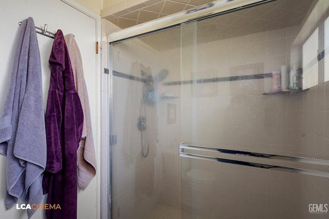 bathroom with a shower stall