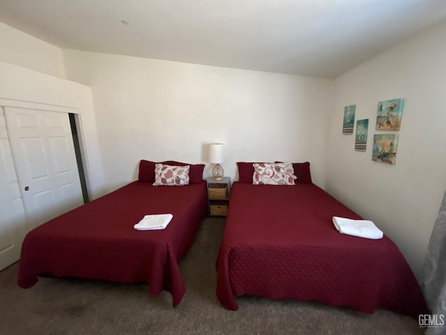 carpeted bedroom featuring a closet