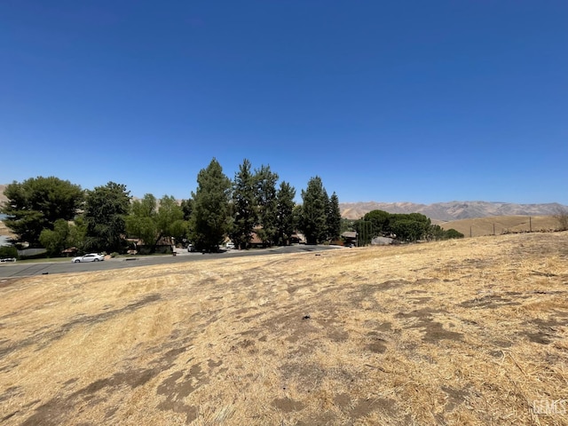 12655 Cattle King Dr, Bakersfield, CA 93306