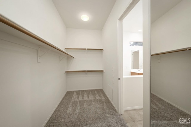 spacious closet featuring light colored carpet