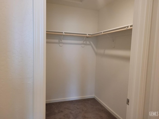 walk in closet with dark carpet