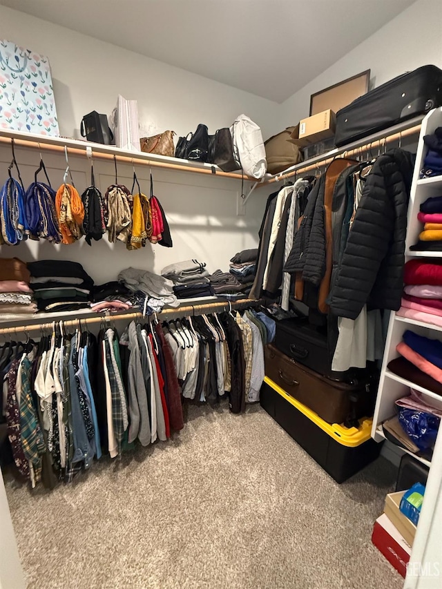 walk in closet featuring carpet