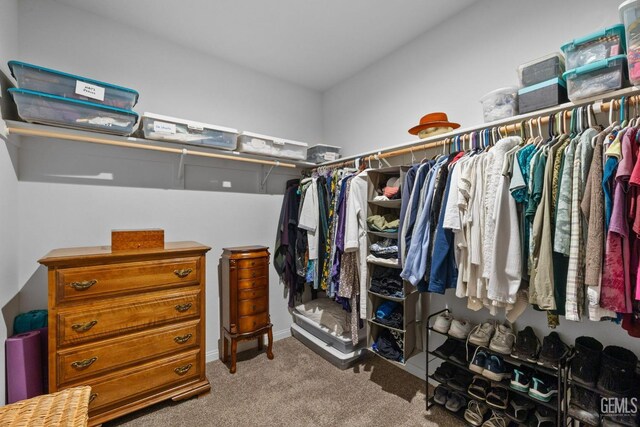 spacious closet with carpet