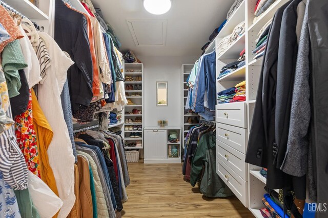 2700 Hoad Ln, Bakersfield, CA 93309 - walk in closet featuring light wood-style flooring and attic access