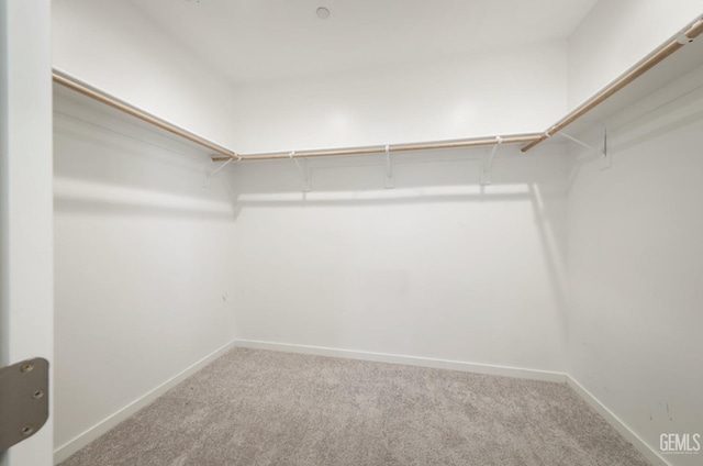4414 Coal Rock Ct, Bakersfield, CA 93313 - spacious closet with carpet flooring