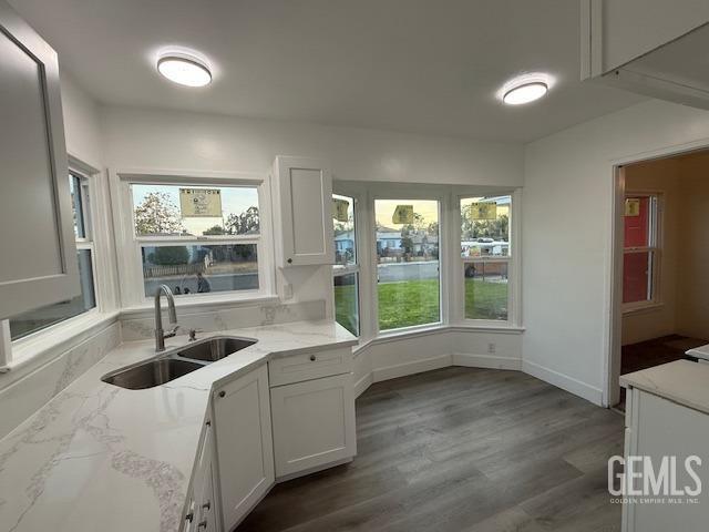 kitchen featuring hardwood / wood-style flooring, light stone counters, white cabinetry, and sink