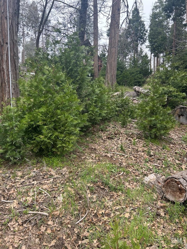 47701 Sugarloap Loop, Posey, CA 93260 - view of undeveloped land