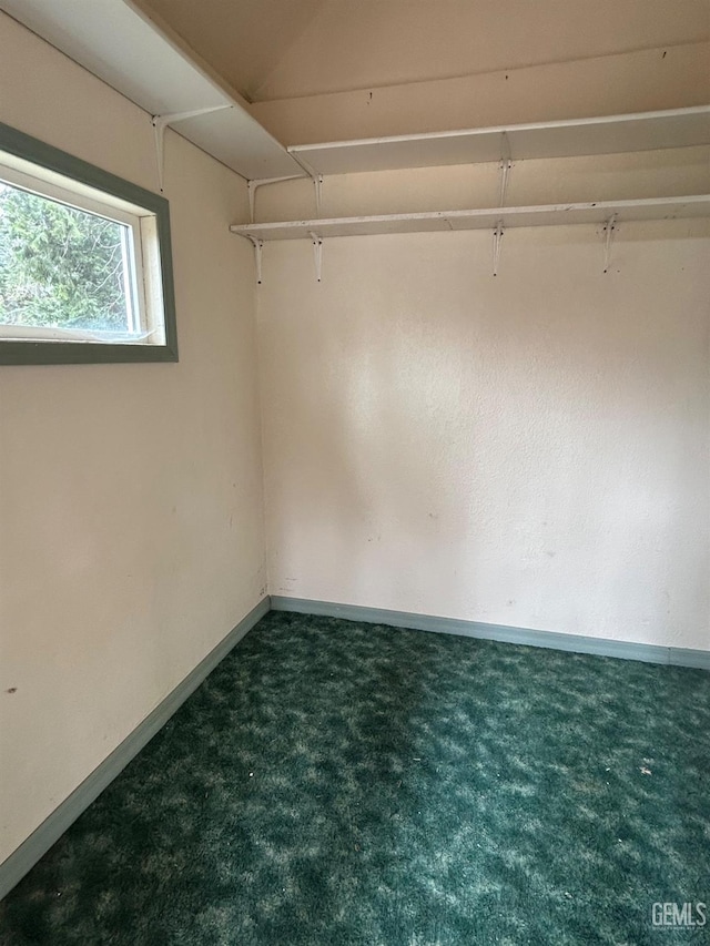47701 Sugarloap Loop, Posey, CA 93260 - spacious closet with carpet flooring
