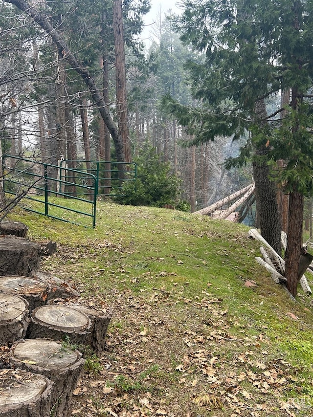 47701 Sugarloap Loop, Posey, CA 93260 - view of yard with fence