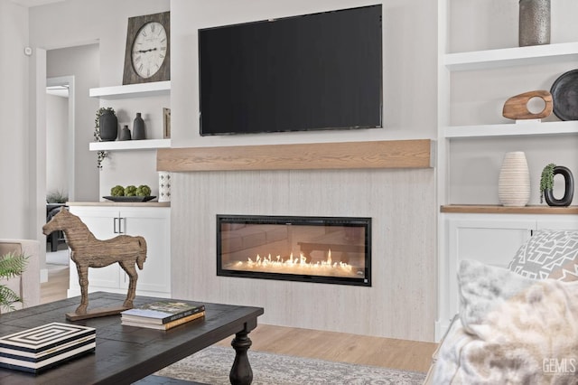 living room with hardwood / wood-style flooring and built in shelves